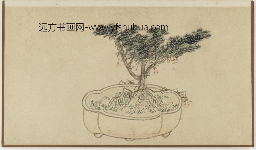 孙克弘_盆石花卉册-桧柏