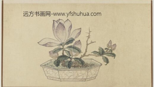 孙克弘 盆石花卉册 玉兰.jpg