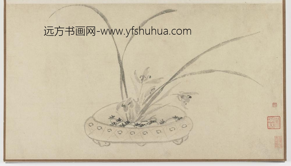 孙克弘_盆石花卉册之兰花