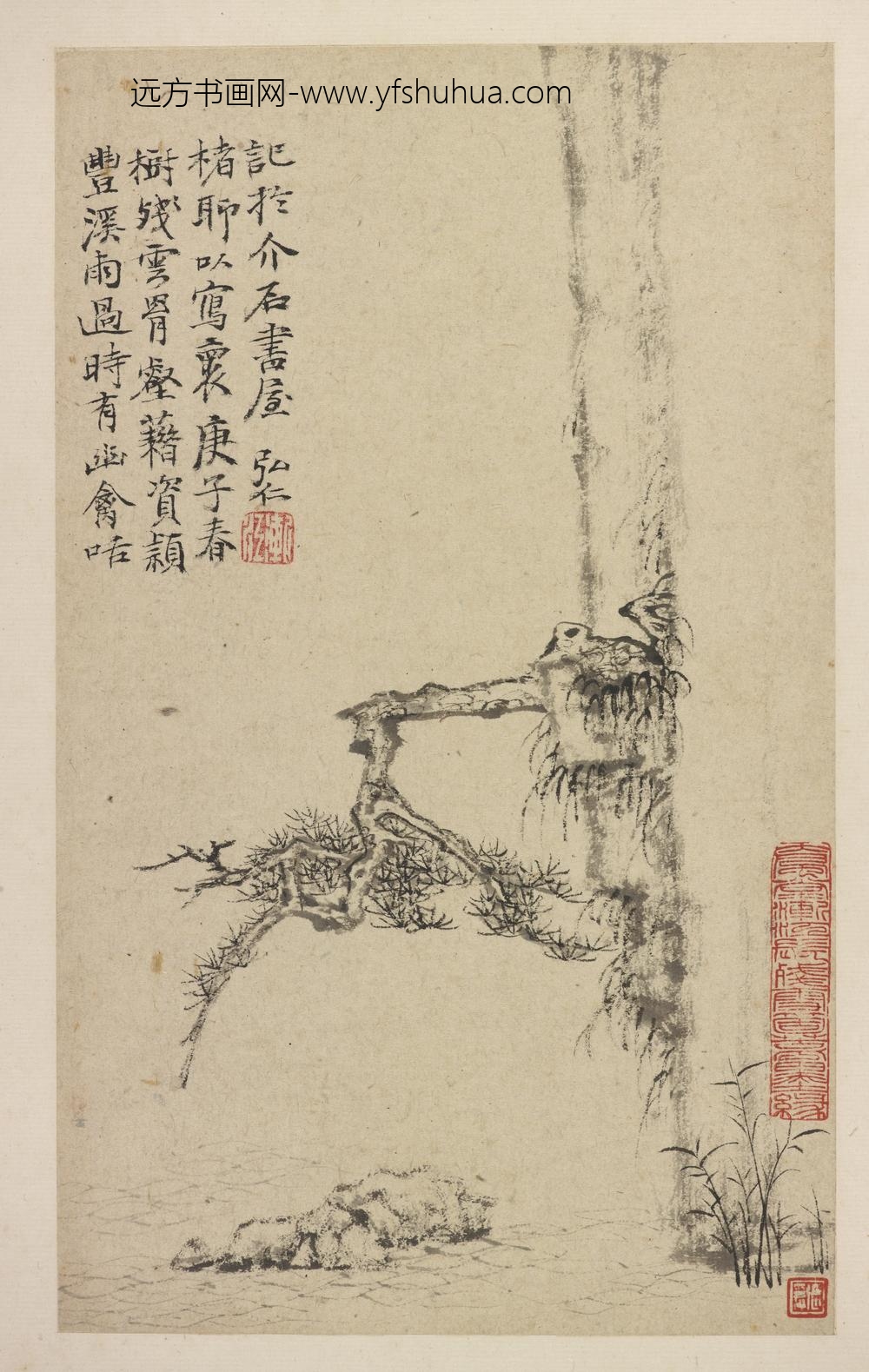 弘仁_悬崖古松图-凤江景册