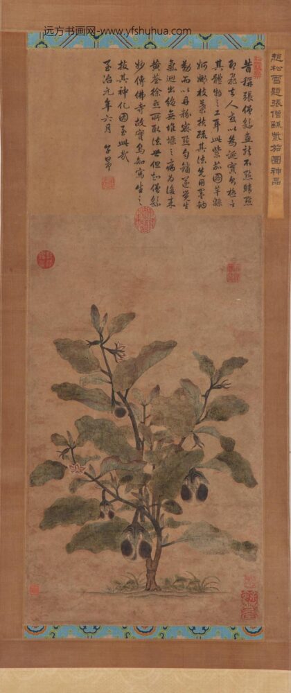 张僧繇 紫茄图.jpg