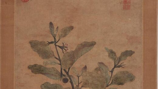 张僧繇 紫茄图.jpg