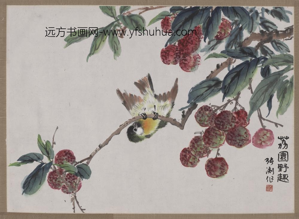 张渊_荔枝小鸟