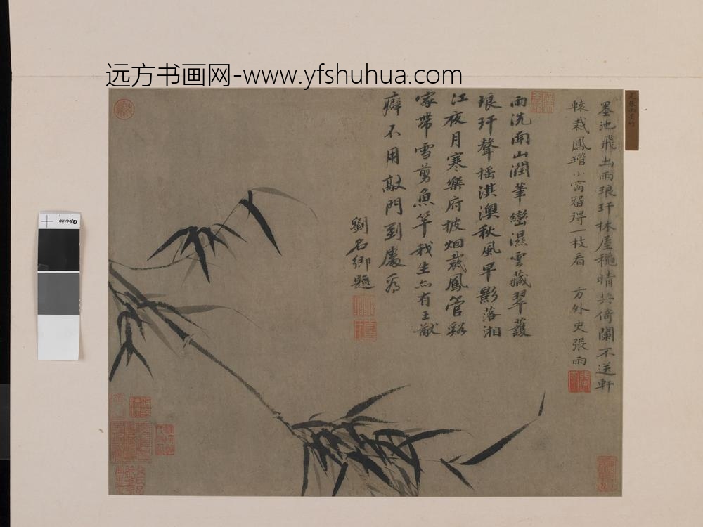 张雨_墨竹图