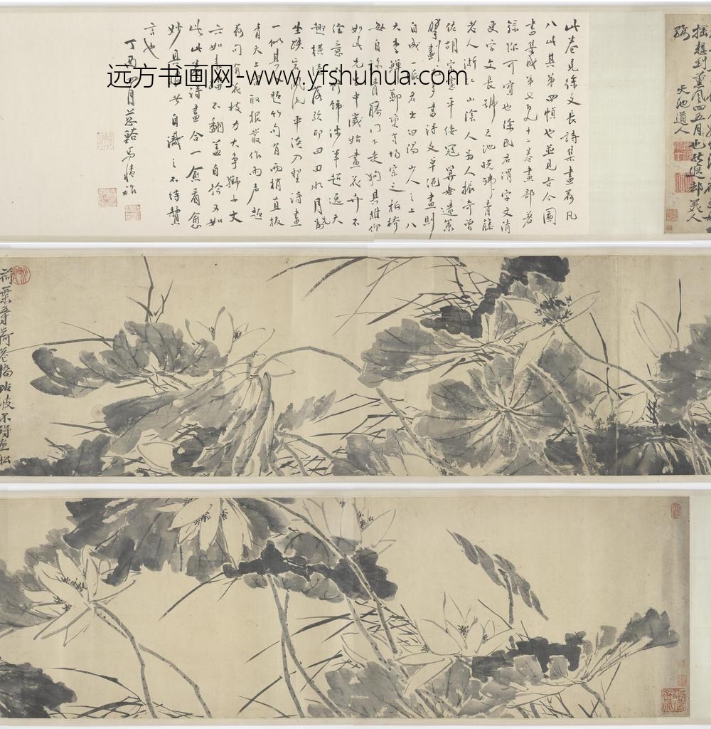 徐渭_墨荷图