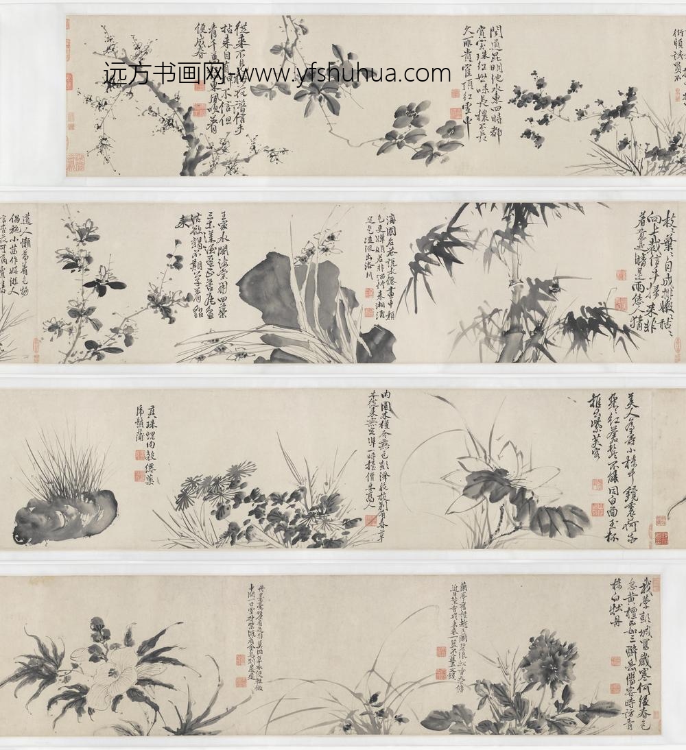 徐渭_青藤墨妙（十二花卉配诗）图卷