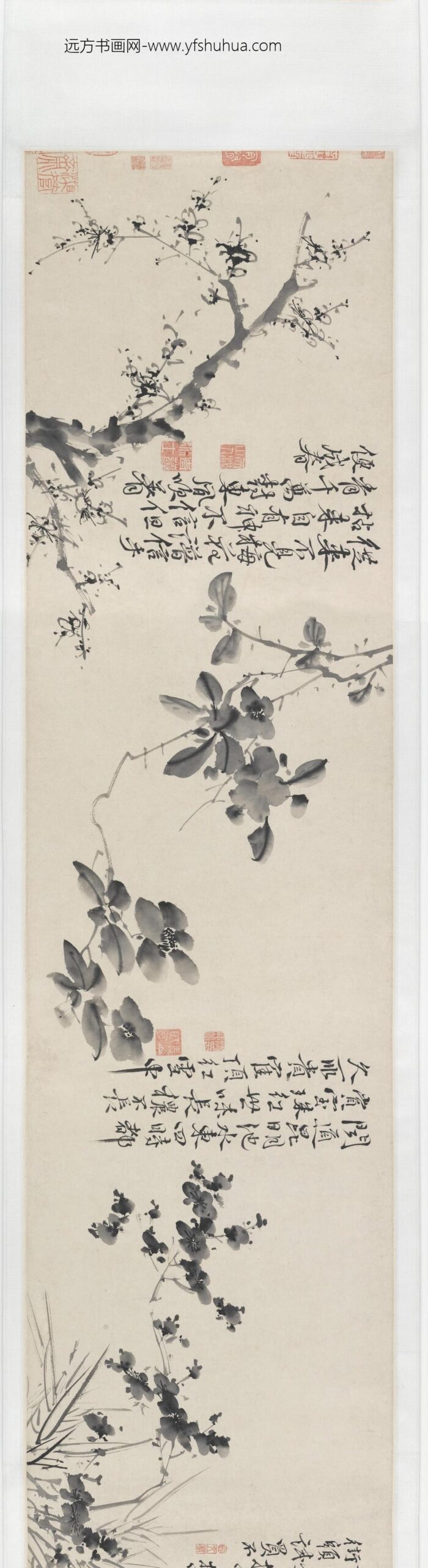 徐渭_青藤墨妙（十二花卉配诗）图卷_