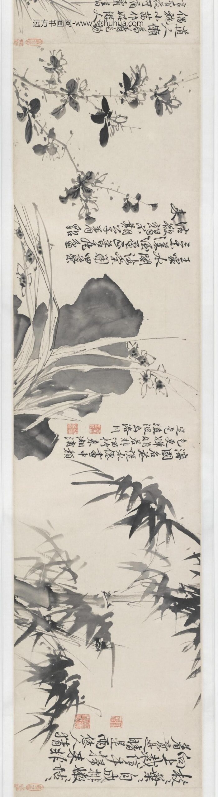 徐渭_青藤墨妙（十二花卉配诗）图卷_