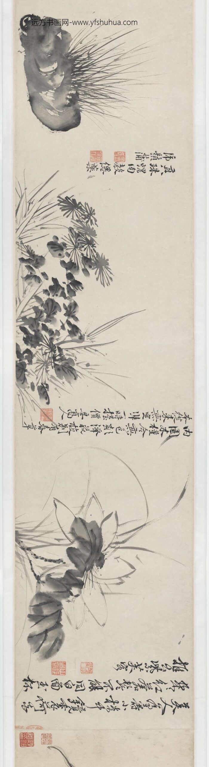 徐渭_青藤墨妙（十二花卉配诗）图卷_