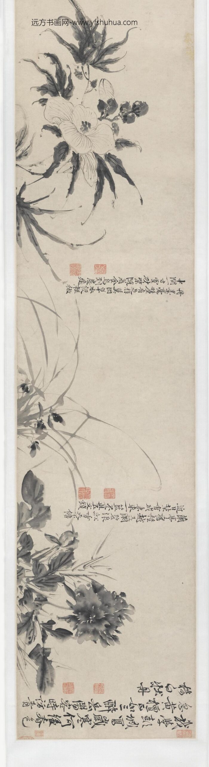 徐渭_青藤墨妙（十二花卉配诗）图卷_