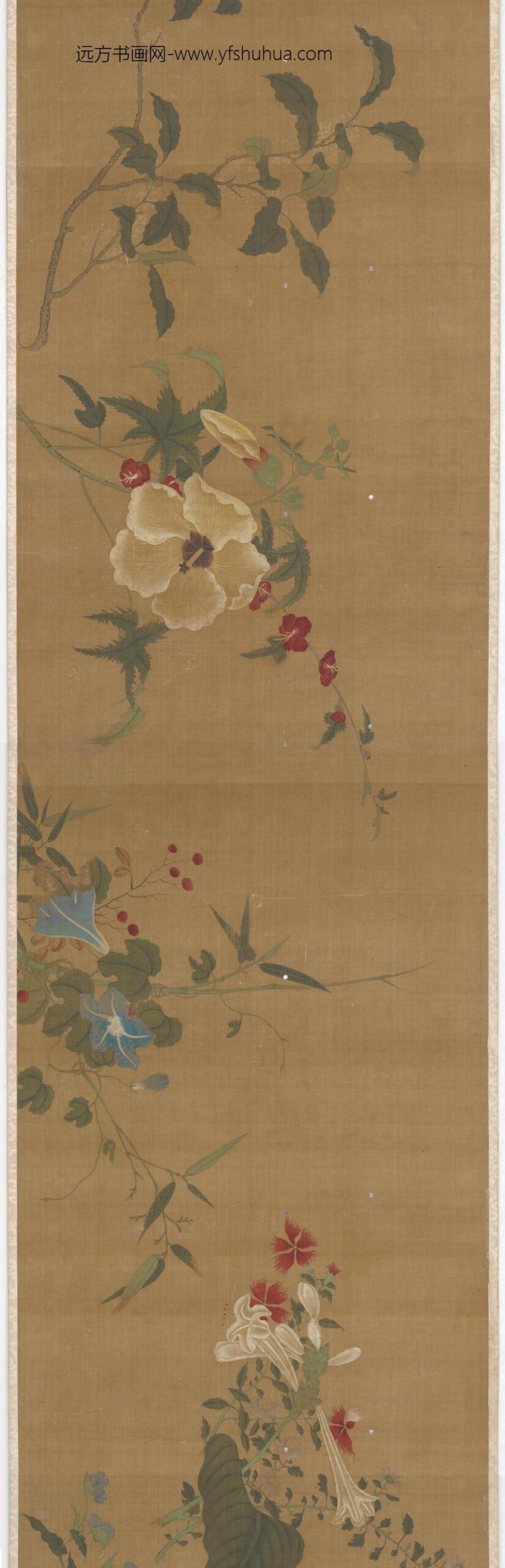 徐熙_花卉图卷_