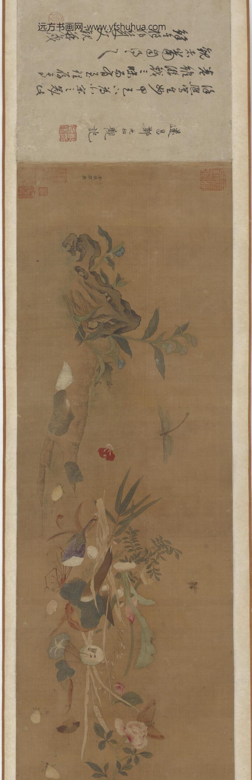 徐熙_花果贝虫图_