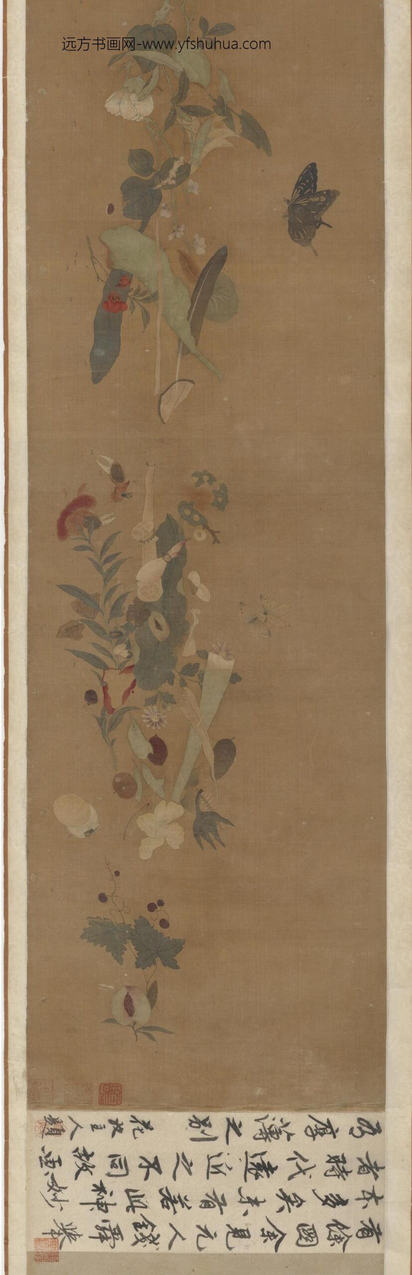 徐熙_花果贝虫图_