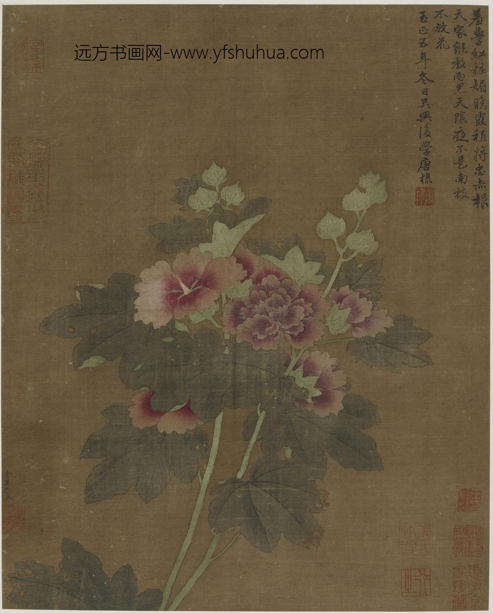 徐熙_蜀葵图