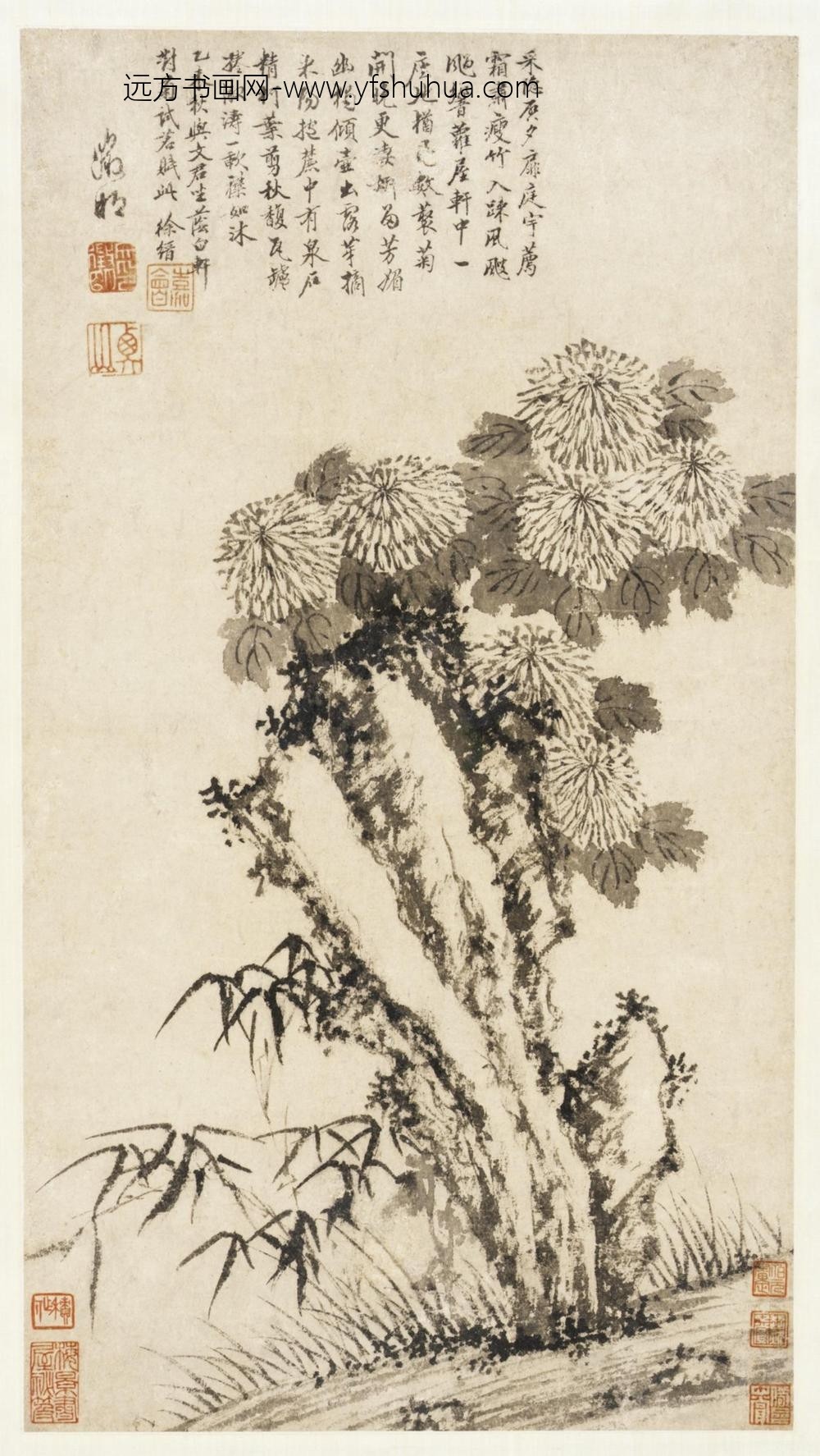 文征明（文征明）_菊竹湖石图