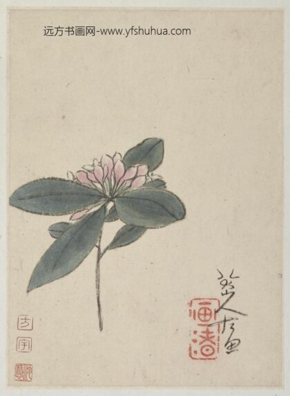 朱耷 丁香花图并行草题跋两册页 1.jpg