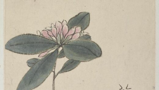 朱耷 丁香花图并行草题跋两册页 1.jpg