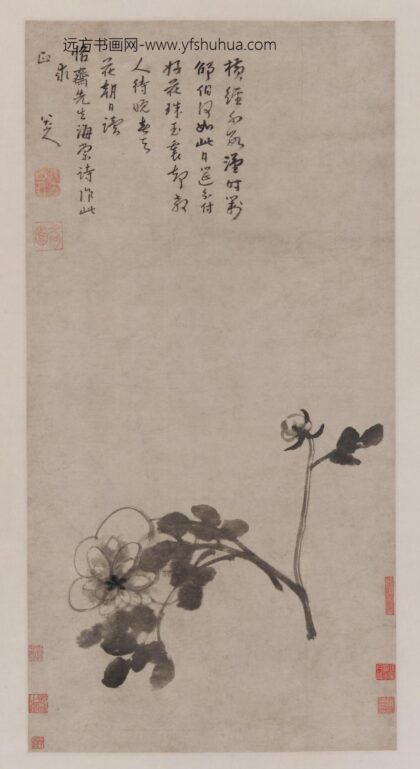朱耷 芍药图轴.jpg