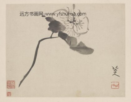 朱耷 芙蓉图册页.jpg