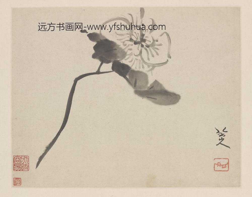 朱耷_芙蓉图(册页)