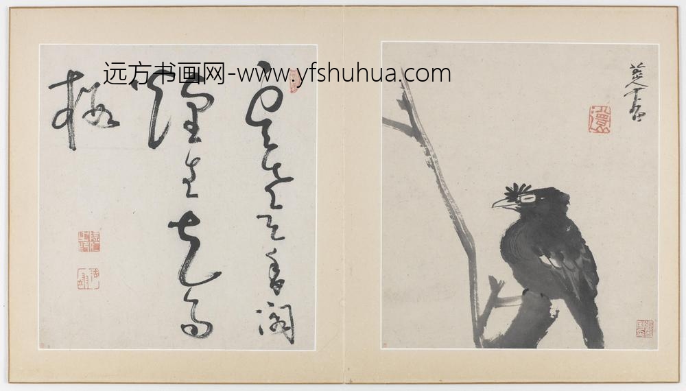 朱耷_花鸟虫鱼图册(十一开)_