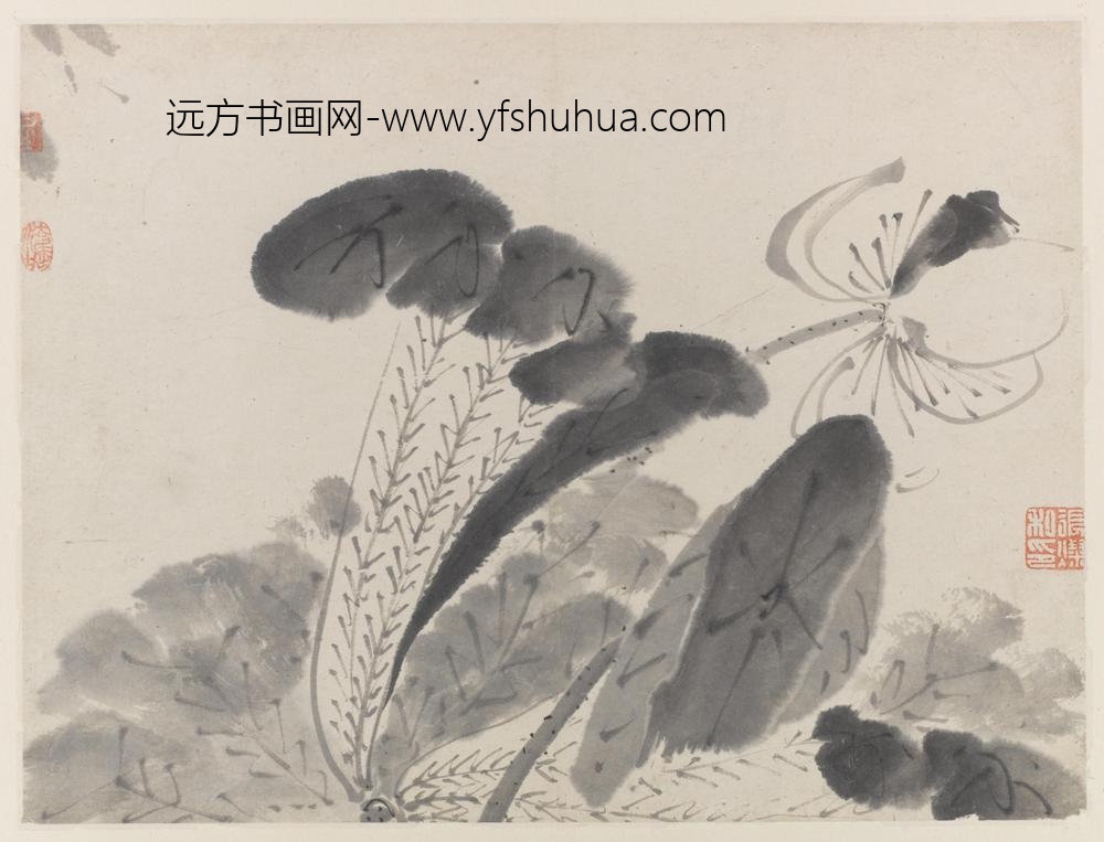 朱耷_荷花图册八开_