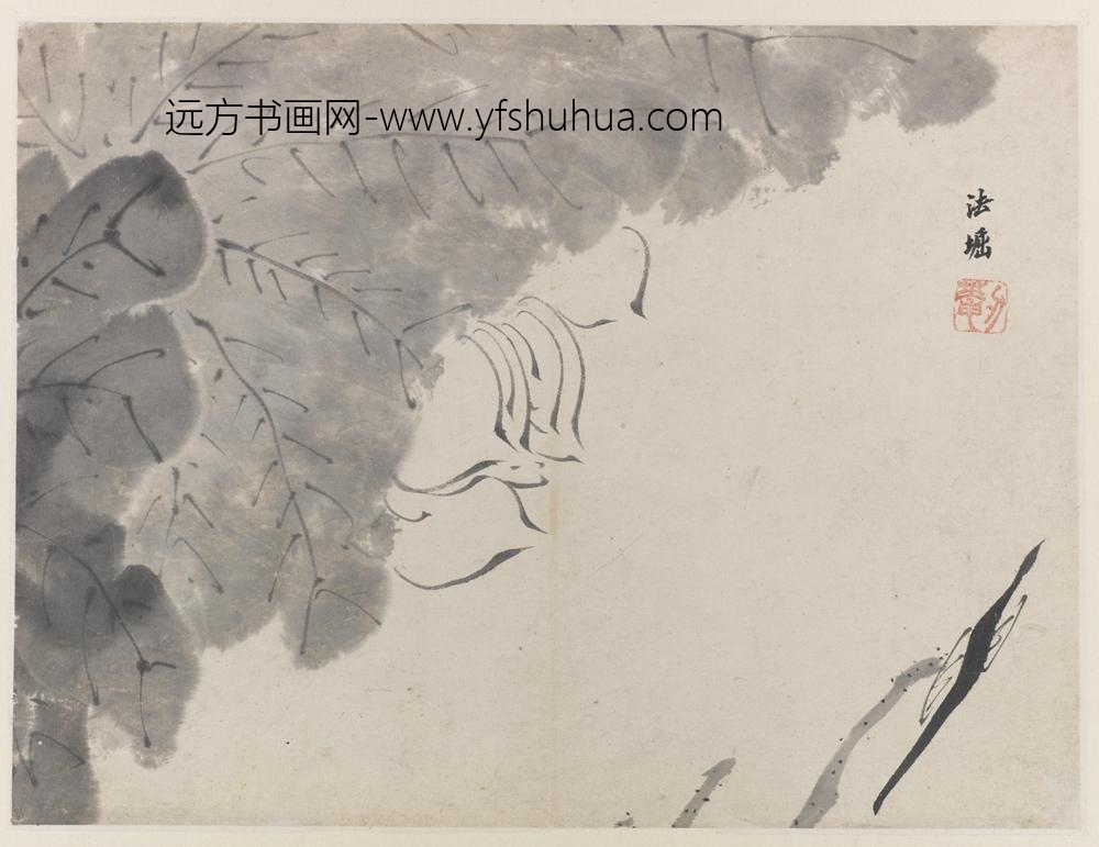 朱耷_荷花图册八开_