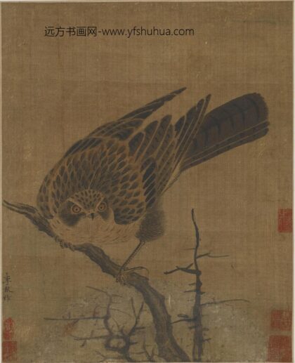李猷 枯木苍鹰图.jpg