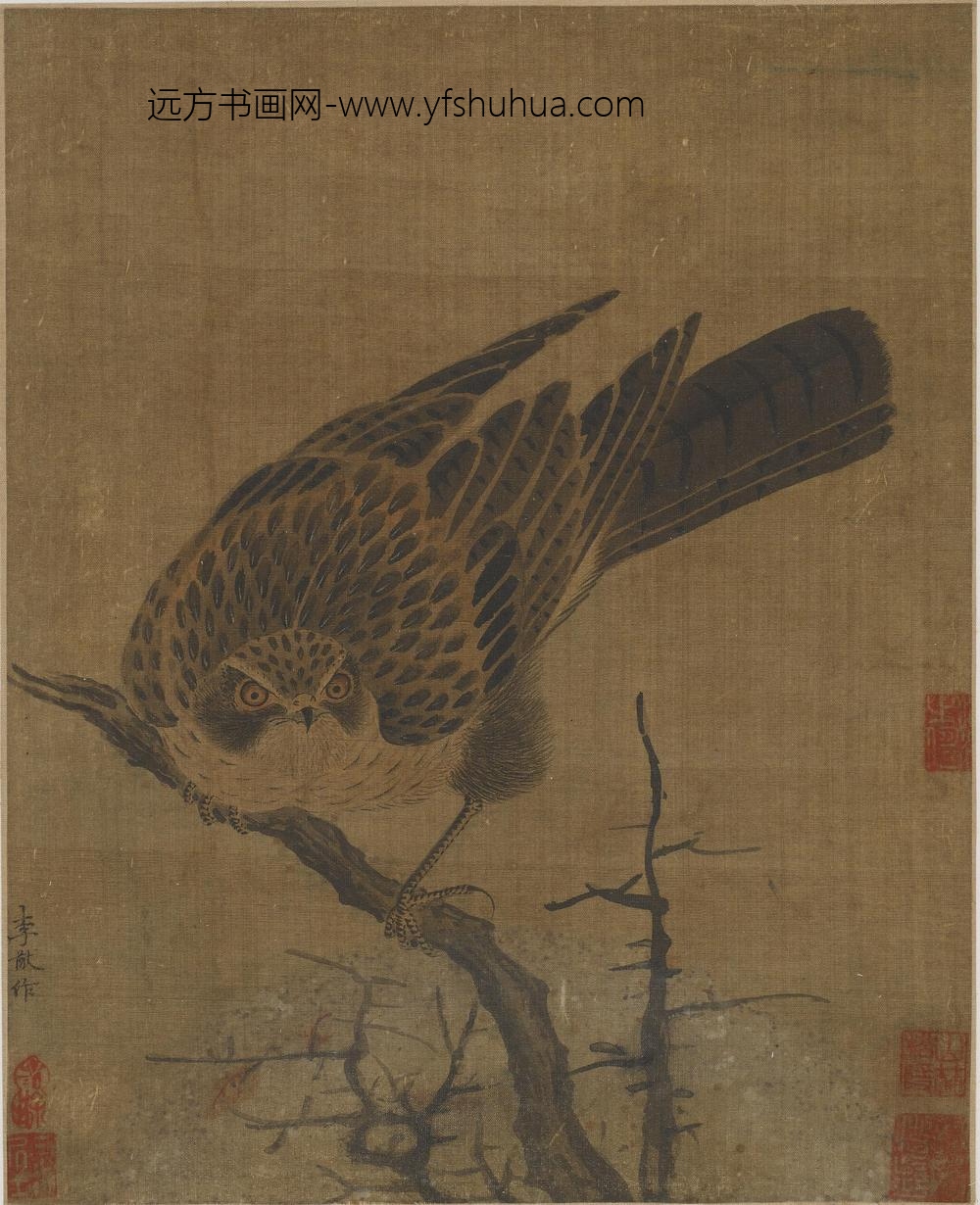 李猷_枯木苍鹰图
