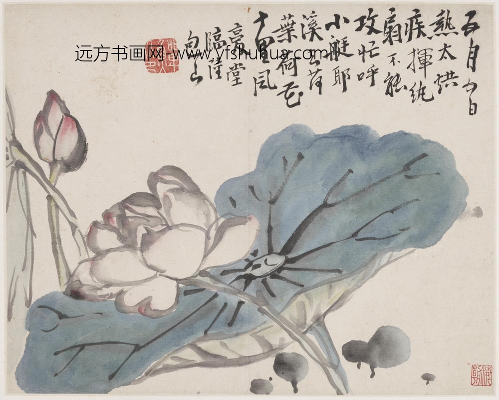 李鳝（鳝善）_仿陆治荷花图