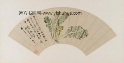 杨晋 白菜图.jpg