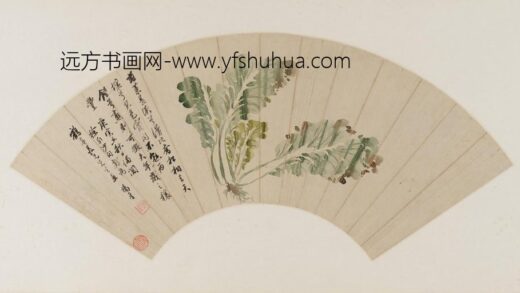 杨晋 白菜图.jpg