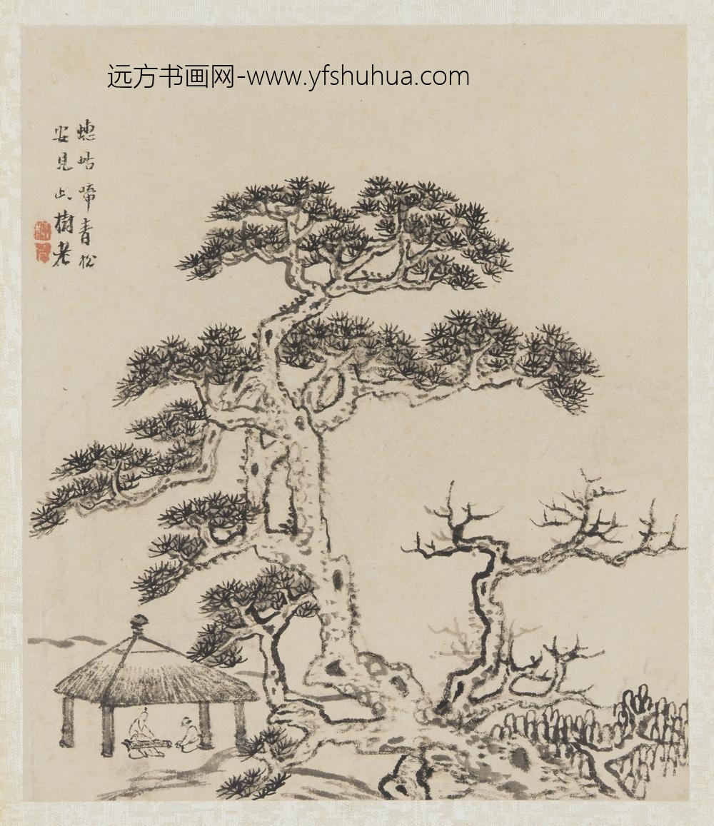 柳堉_蟪蛄啼青松安见此树老