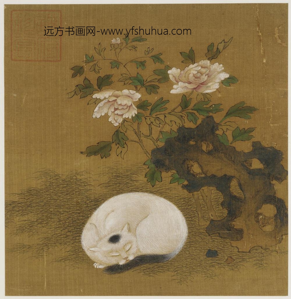 猫石牡丹图