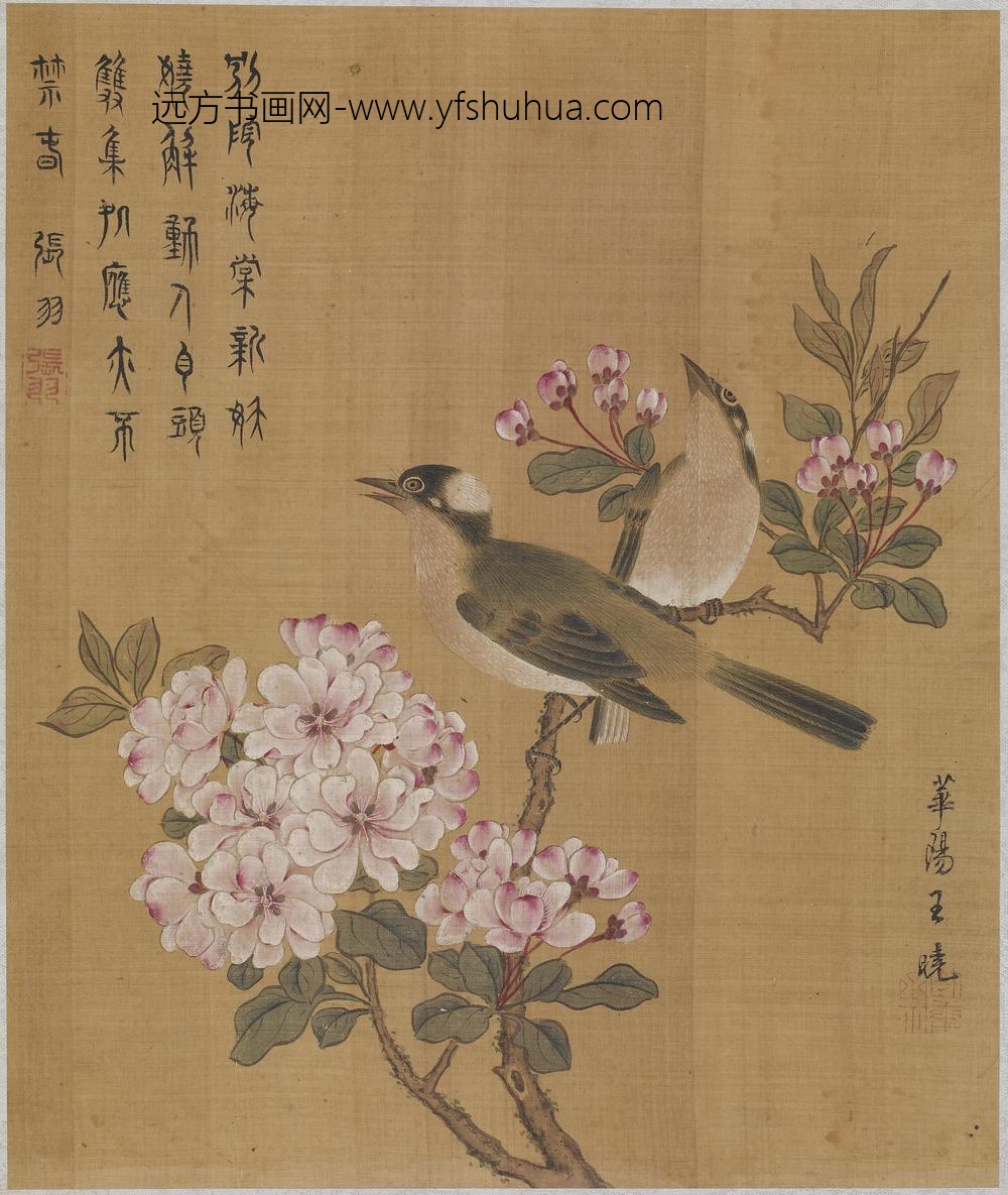王晓_花枝栖禽图