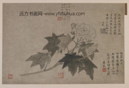 王渊 芙蓉图.jpg