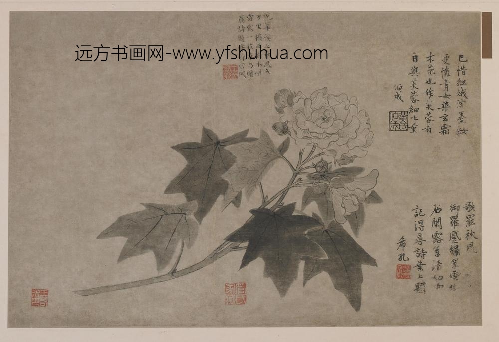 王渊_芙蓉图
