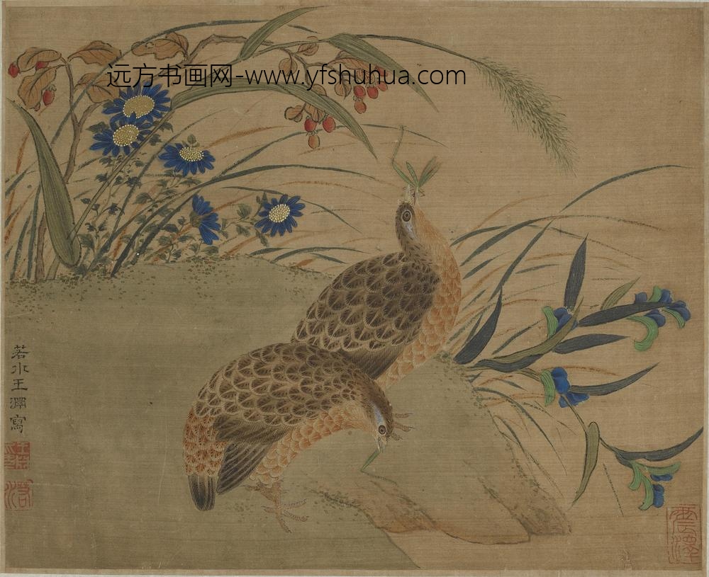 王渊_花下双鹌鹑啄蝗图_