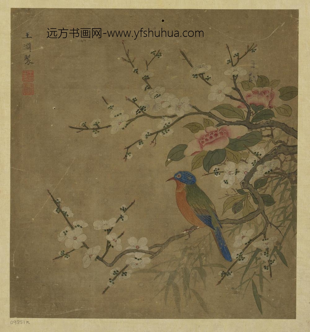 王渊_花鸟图