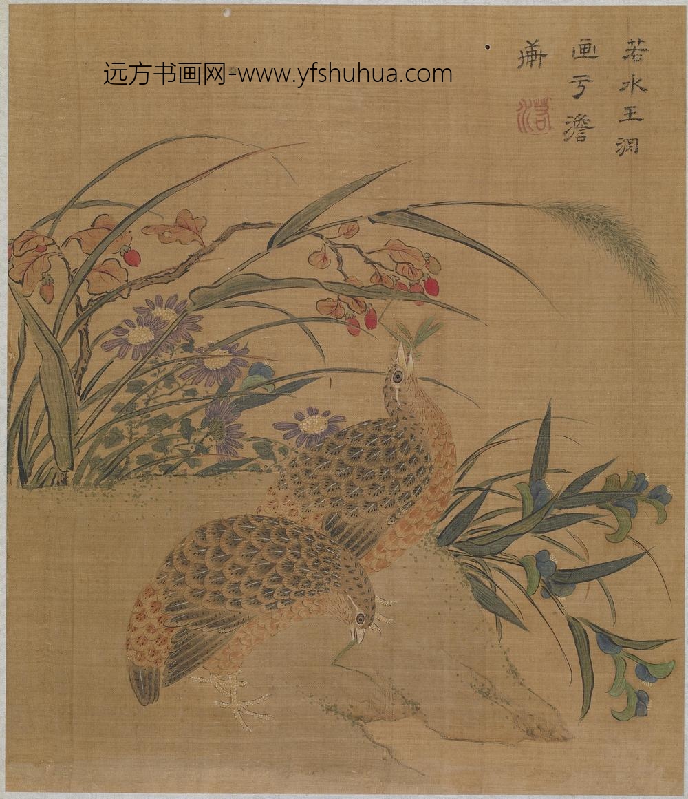 王渊_鹌鹑花卉图