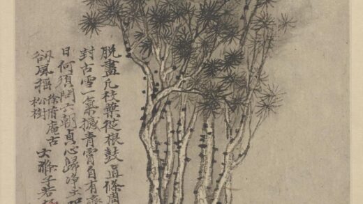 石涛 金陵忆旧 徐府庵古松.jpg