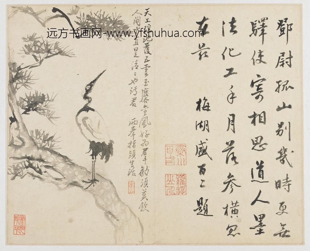 罗聘_山水花鸟册-松鹤图
