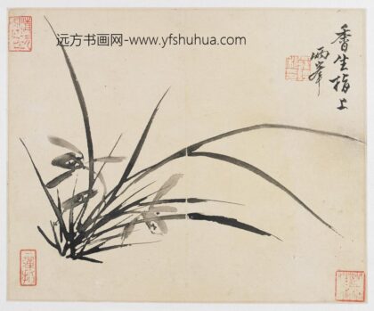 罗聘 山水花鸟册之兰花.jpg