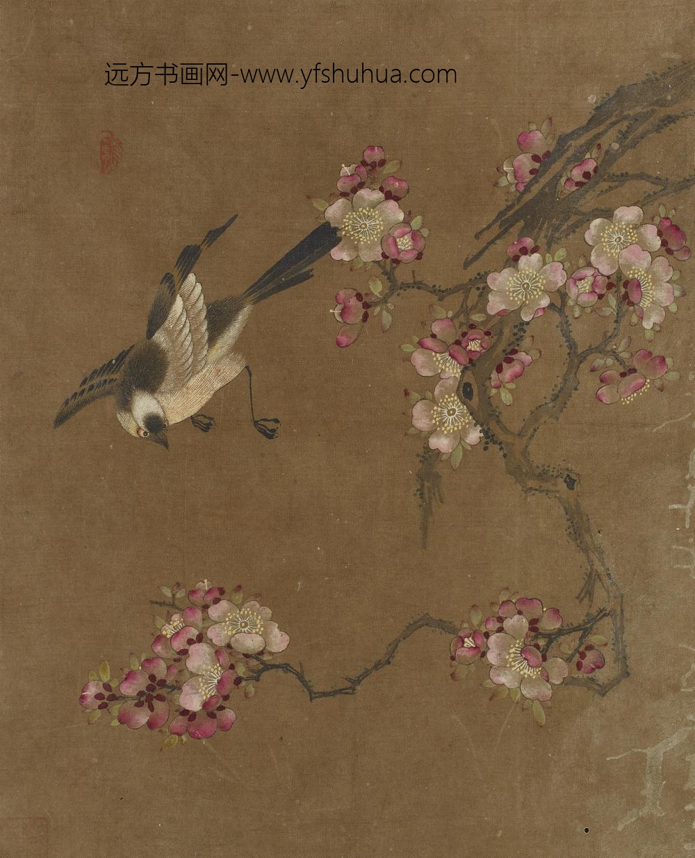 花鸟图册十开_