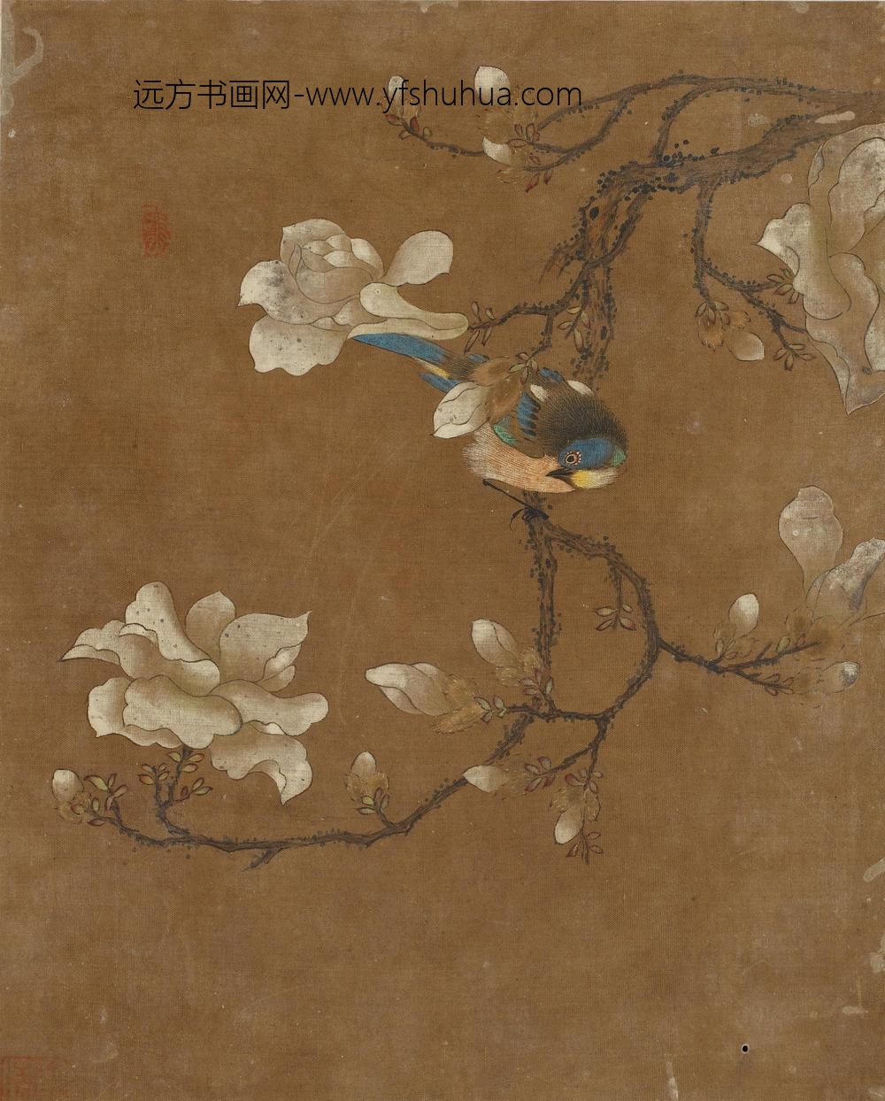 花鸟图册十开_