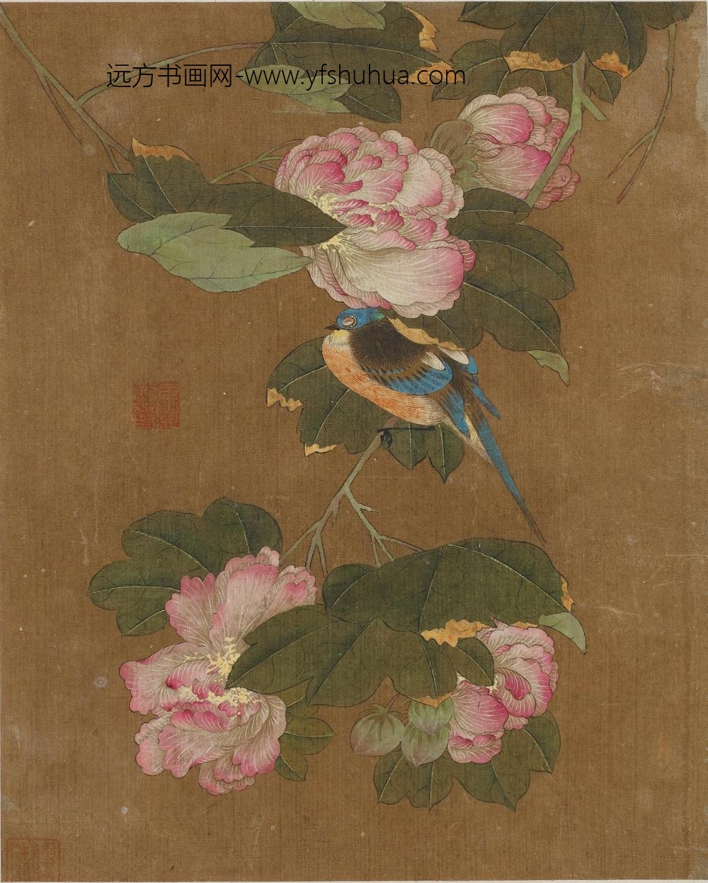 花鸟图册十开_