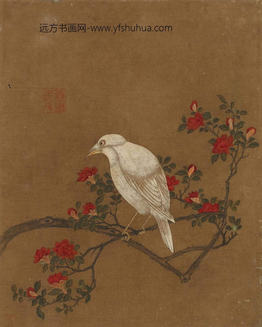 花鸟图册十开_
