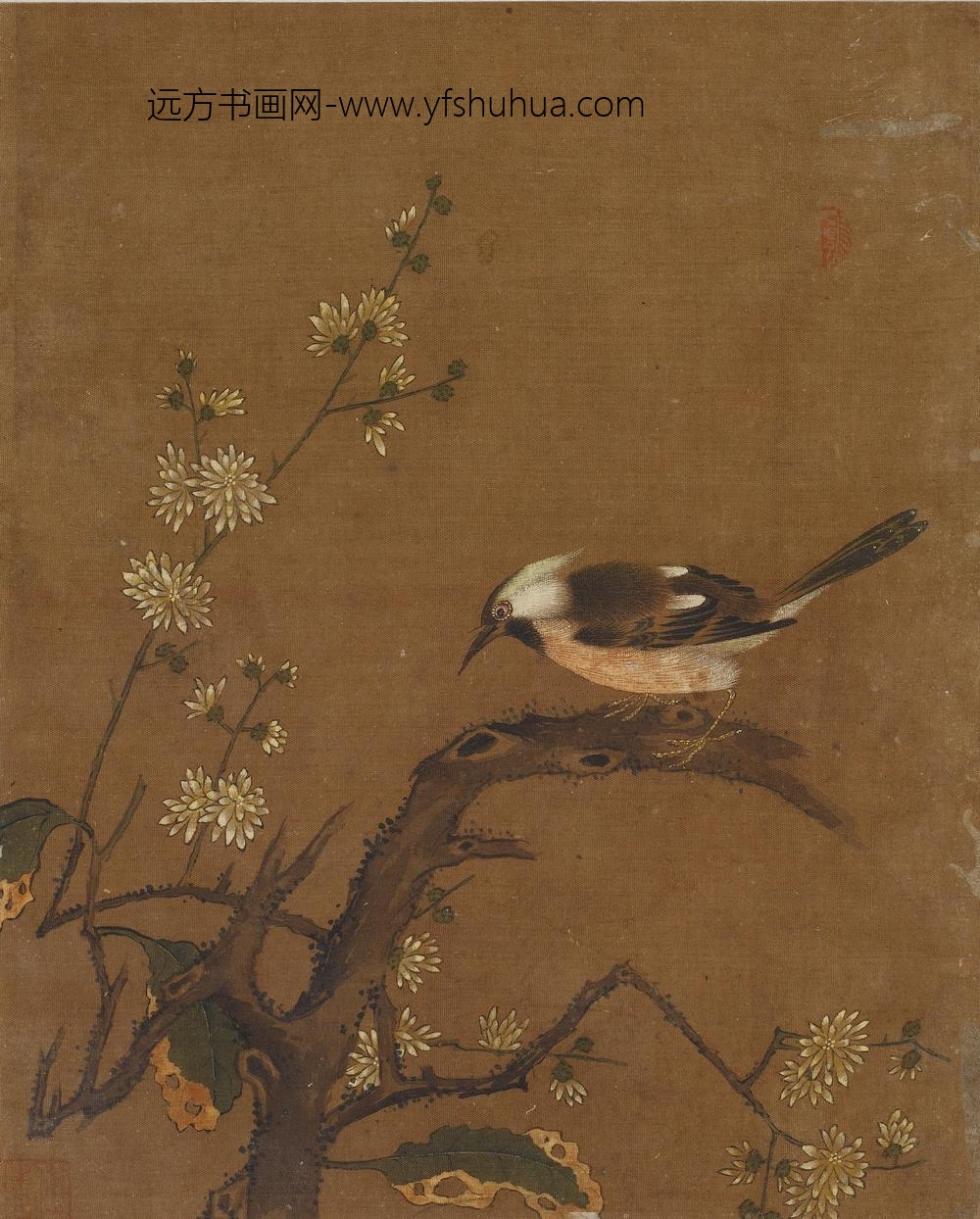 花鸟图册十开_