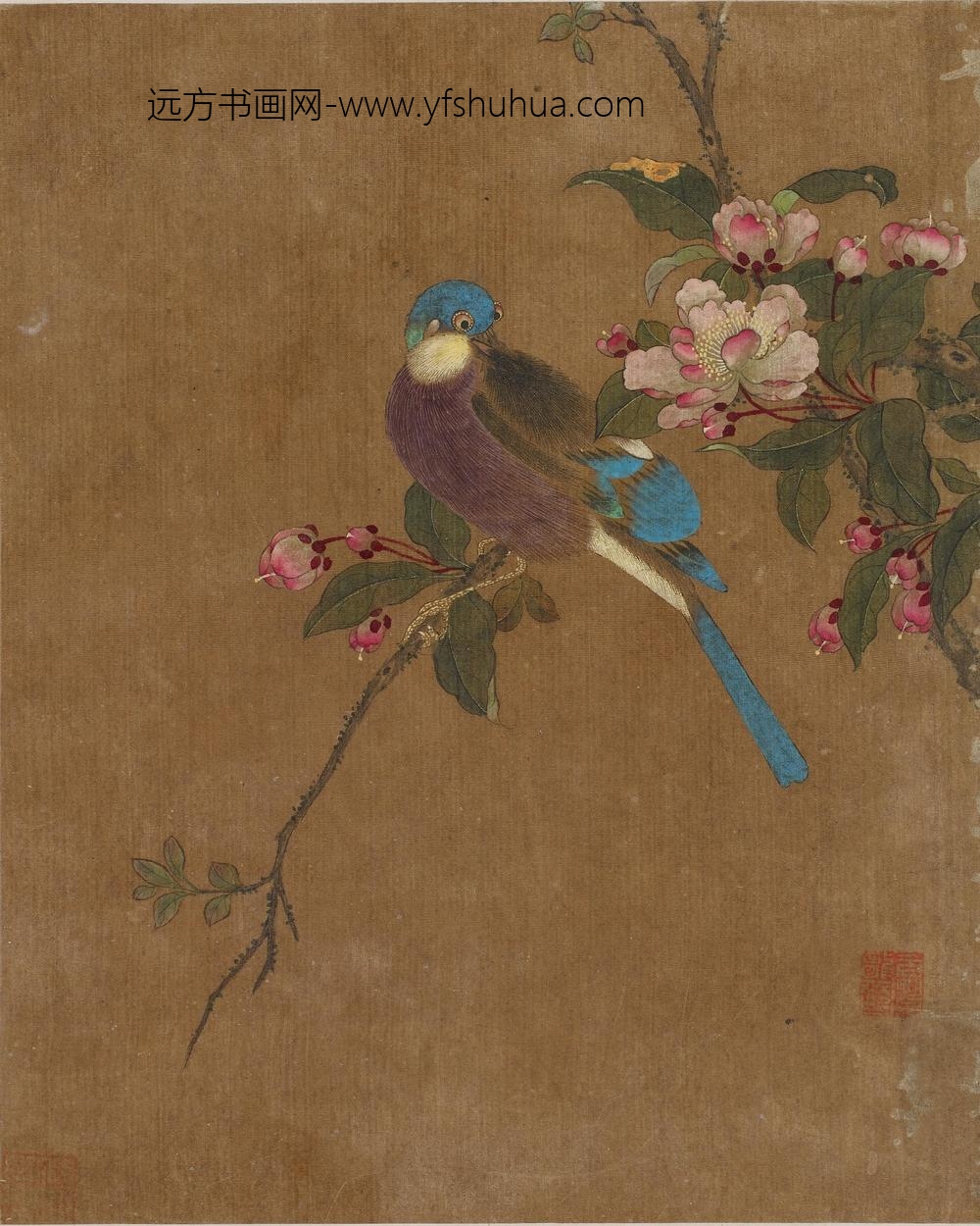 花鸟图册十开_