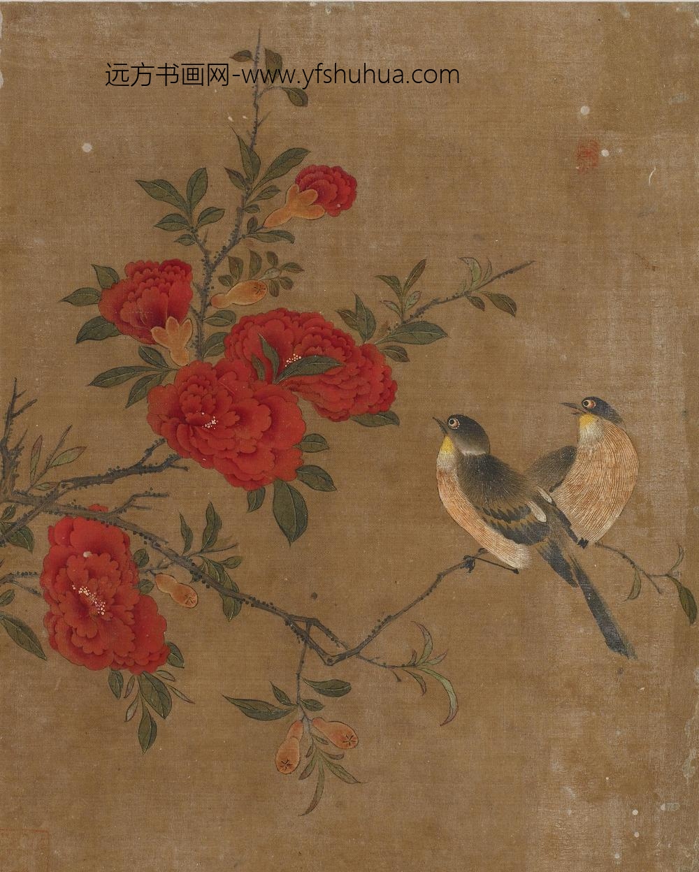 花鸟图册十开_